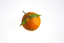 Food, Fruit, Fresh Clementine orange.