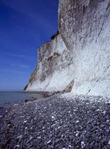 Denmark, Isle of Mon, Mons Klint, East facing chalk sea cliffs with flintstone beach.