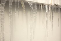 Weather, Winter, Frost, Large Icicles hanging from roof eaves.