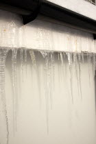 Weather, Winter, Frost, Large Icicles hanging from roof eaves.