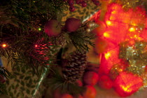 Festivals, Religious, Christmas, Detail of lights and decorations on Nordman Fir tree.