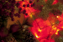 Festivals, Religious, Christmas, Detail of lights and decorations on Nordman Fir tree.