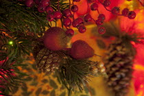 Festivals, Religious, Christmas, Detail of lights and decorations on Nordman Fir tree.