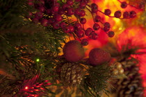 Festivals, Religious, Christmas, Detail of lights and decorations on Nordman Fir tree.