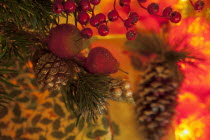 Festivals, Religious, Christmas, Detail of lights and decorations on Nordman Fir tree.