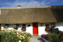Ireland, County Waterford, Dunmore East, Small Thatched cottage with red painted door.