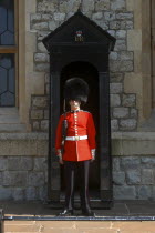 England, London, Queens Life Guard on duty at Buckingham Palace.