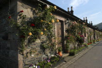Scotland, Argyle and Bute, Luss, Row of cottages with roses growing across the stone walls.