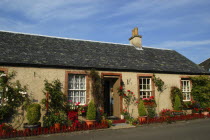 Scotland, Argyle and Bute, Luss, Traditional cottage covered in colourful plants and flowers.