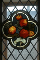 Colourful Rose pattern on stained glass window.