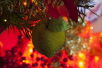 Festivals, Religious, Christmas, Detail of lights and decorations on Nordman Fir tree.