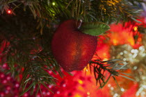 Festivals, Religious, Christmas, Detail of lights and decorations on Nordman Fir tree.