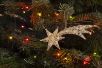 Festivals, Religious, Christmas, Detail of lights and decorations on a Nordman Fir tree.