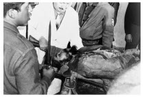 Bolivia, Santa Cruz, Vallegrande, The body of Che Guevara is carried by stretcher into the laundry room of the local Vallegrande hospital and laid out on concrete wash-table, after 5pm Monday 09 Octob...