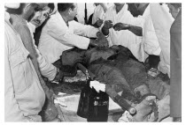 Bolivia, Santa Cruz, Vallegrande, Bolivian doctors preparing the body of Che Guevara for the insertion of formalin for preservation, in laundry room of Vallegrande hospital. Monday 09 October 1967.