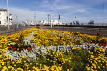 ENGLAND, Hampshire, Portsmouth, South Parade Pier built in 1908 on the seafront in Southsea with a floral garden display in foreground.