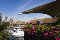 England, Hampshire, Portsmouth, Port Solent Boats moored in the marina with people sitting at restaurant tables beyond beside a pub and housing apartments.