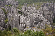 China, Yunnan Province, Shilin, Stone Forest, Shilin Yi, near Lunan and Kunming.