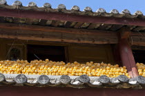 China, Yunnan Province, Lijiang, Yuhu Village, Corn cobs drying in the sun, beneath the roof of a farm building.