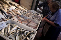 Portugal, Lisbon, Vendor and display of fish in the Ribeira market.