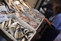 Portugal, Lisbon, Vendor and display of fish in the Ribeira market.