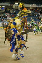 Canada, Alberta, Lethbridge, International Peace Pow Wow, Hidatsa or Gros Ventre Indian from North Dakota USA in the Prairie Chicken Dance competition, The dance originated among the Blackfoot Nation...