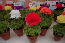 Portugal, Lisbon, Prayers and invocations in artificial flowers for the feast of St Anthony.