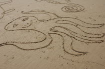 Australia, Queensland, Gold Coast, Coolangatta, Octopus pattern drawn in wet sand on the beach.