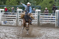 Canada, Alberta, Pincher Creek, Saddle Bronc riding in a muddy arena at the Rodeo with all four hooves of the horse off the ground, cowboys in hats looking on.