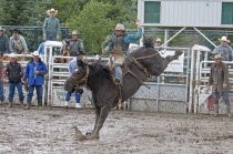 Canada, Alberta, Pincher Creek, Saddle Bronc in a muddy arena at the, cowboys in hats look on.