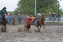 Canada, Alberta, Pincher Creek, Steer Wrestling in a muddy arena at the Rodeo with cowboys in hats looking on.