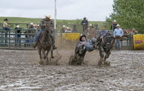 Canada, Alberta, Pincher Creek, Steer Wrestling in a muddy arena at the Rodeo with cowboys in hats looking on.