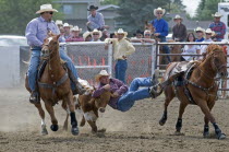 Canada, Alberta,  Raymond, Steer Wrestling at Raymond Stampede the oldest rodeo in Canada held annually since 1902.