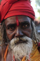 India, Uttarakhand, Hardiwar, Head and shoulders portrait of a Saddhu during Kumbh Mela, Indias biggest religious festival where many different traditions of Hinduism come together to bathe in the Gan...