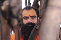 India, Uttarakhand, Hardiwar, Portrait of a Saddhu.