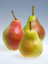 Food, Fruit, Pears, Three ripe South African Rosemarie pears against a white background.