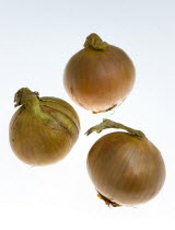 Food, Vegetables, Onions, Three ripe harvested onion bulbs or Allium against a white background.