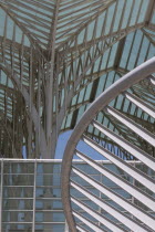 Portugal, Estremadura, Lisbon, Detail of the roof of the Oriente railway station, designed by Santiago Calatrava.