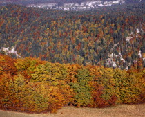 France, Rhone-Alpes, Drome and Isere, Landscape with trees in Autumn colours in the Vercor region near Col de Rousset.