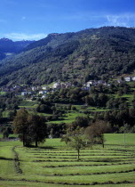 Switzerland, Ticino, Village of Ponto Valentino at foot of tree covered hillside with winter feed for cattle cut and drying in the sun in foreground.