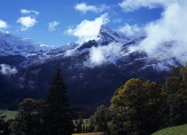 Switzerland, Vaud, Les Diablerets, Les Diablerets mountain group with high point of 3210 metres seen from west of Col du Pillon with Alpine meadows.