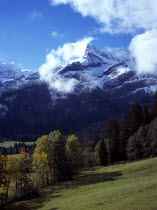 Switzerland, Vaud, Les Diablerets, Les Diablerets mountain group with high point of 3210 metres seen from west of Col du Pillon with Alpine meadows.