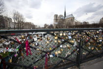 France, Ile de France, Paris, Padlocks attached to the Pont de Sully that according to tradition lock as a statement a couples eternal love, with the famous Notre Dame Cathedral in the background.