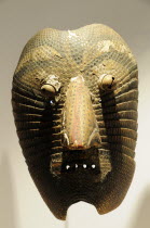 Mexico, Bajio, Zacatecas, mask made from an armadillo shell in the Museo Rafael Coronel.