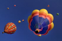 USA, New Mexico, Albuquerque, Annual balloon fiesta, Colourful hot air balloons ascending.