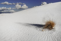 USA, New Mexico, White Sands National Monument.