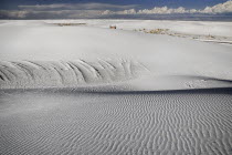 USA, New Mexico, White Sands National Monument.