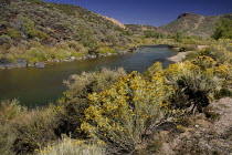 USA, New Mexico, Taos, Rio Grande.