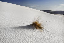 USA, New Mexico, White Sands National Monunment.