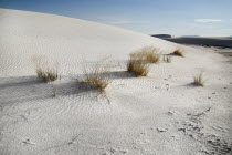 USA, New Mexico, White Sands National Monunment.